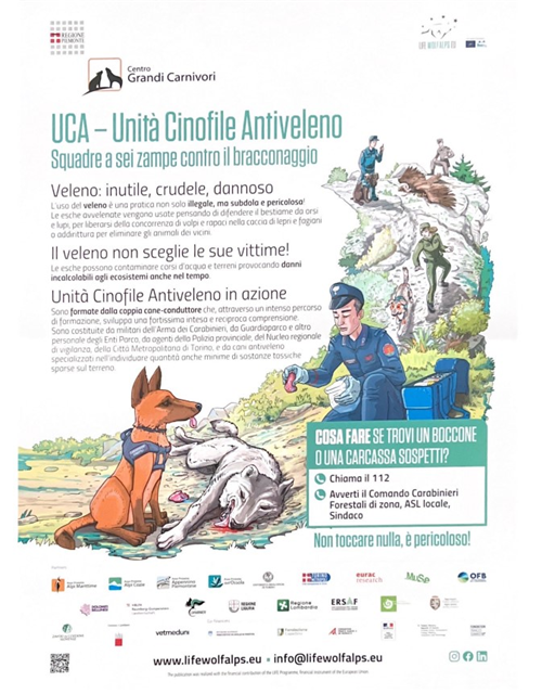 Informazioni su avvistamento Lupi